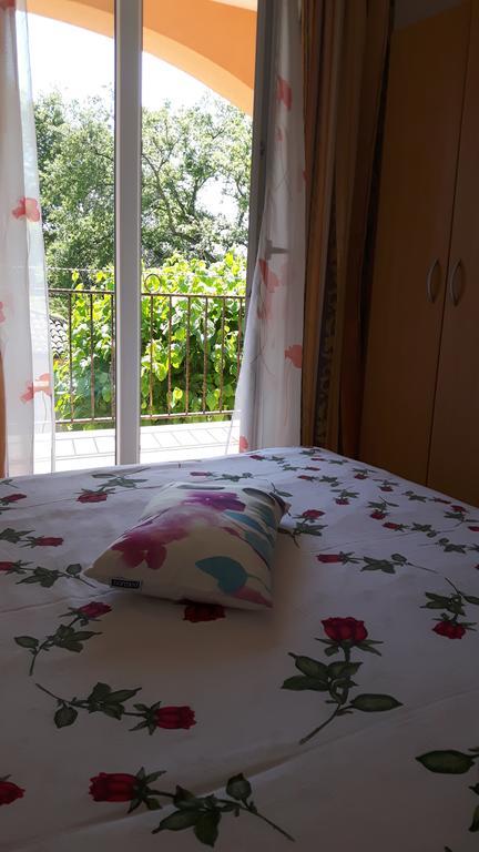 Ivan Apartman Porec